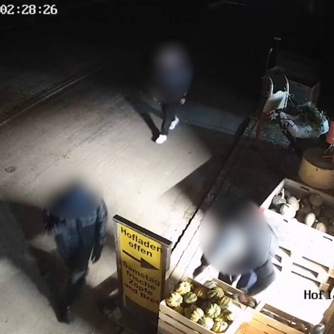 Überwachungskamera zeigt: Dreiste Diebe klauen kistenweise Kürbisse von Hofladen 