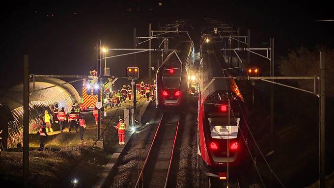 Kurznachrichten: SBB-Chaos, Prozess, Strassen AR, Rappi-Jona