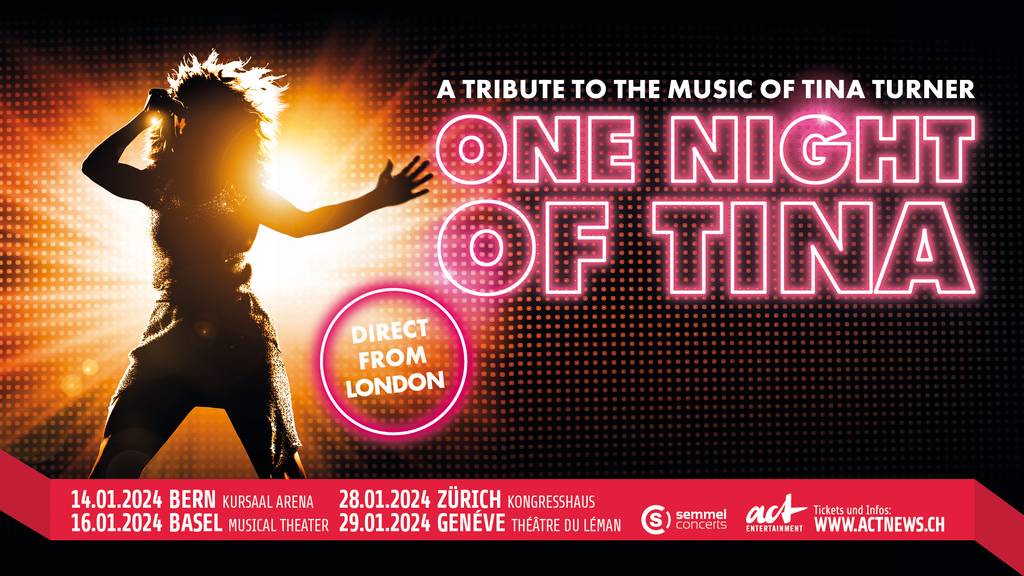 Tina Turner Tribute Show