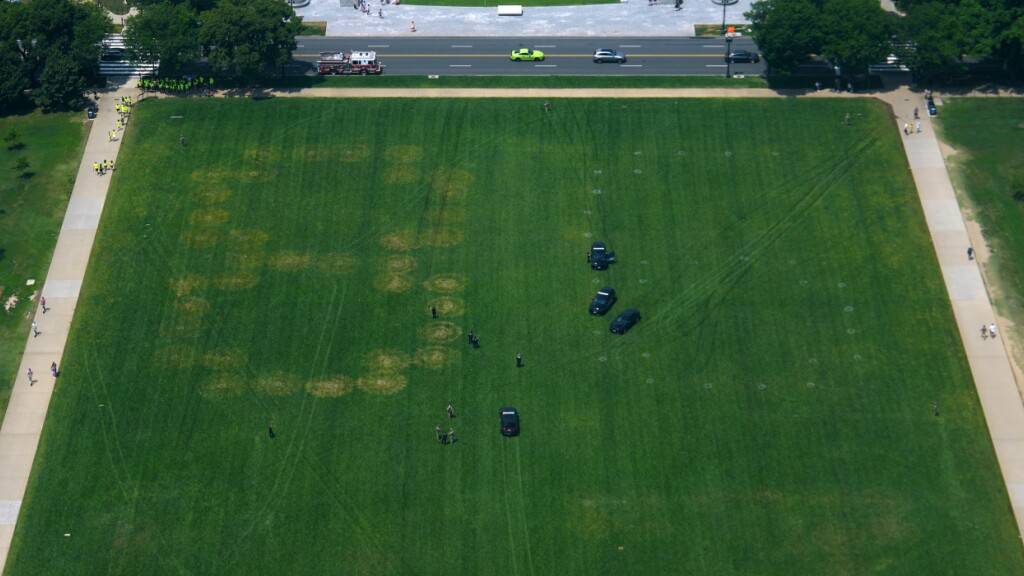 dpatopbilder - Auf dem Gras in der Nähe des Lincoln Memorials sind Verfärbungen zu sehen, die Zahlen bilden. Foto: Julia Demaree Nikhinson/AP/dpa