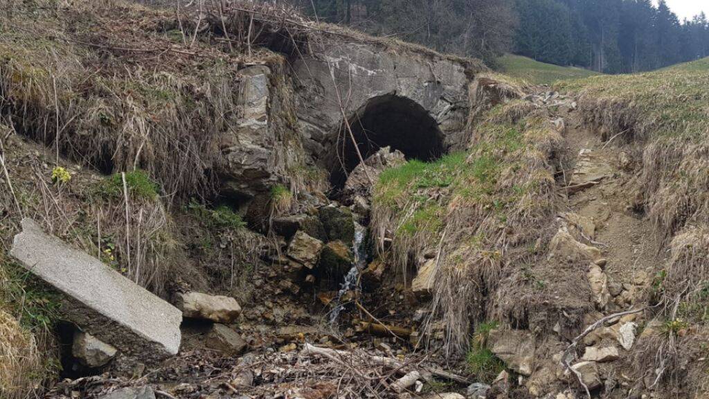 Das Dorf Alpthal SZ soll nicht mehr überschwemmt werden