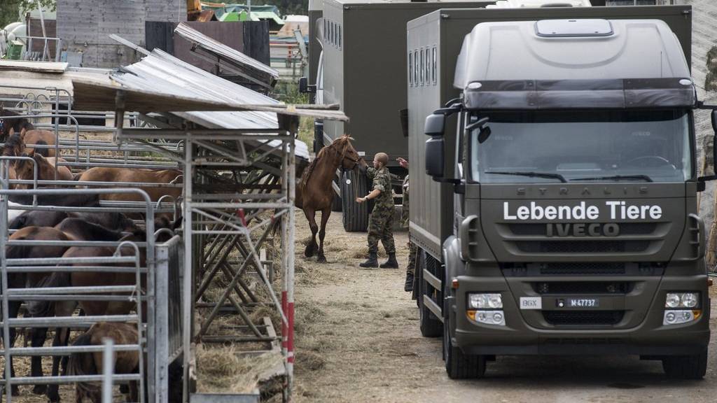 Das Militär sicherte im August dieses Jahres die Pferde vom Hof von Ulrich K., der unter dem Verdacht der Quälerei von Pferden steht