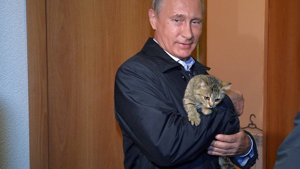 Posieren mit Katze: Was dem Präsidenten recht ist, ist den russisch-orthodoxen Priestern billig. (Symbolbild)