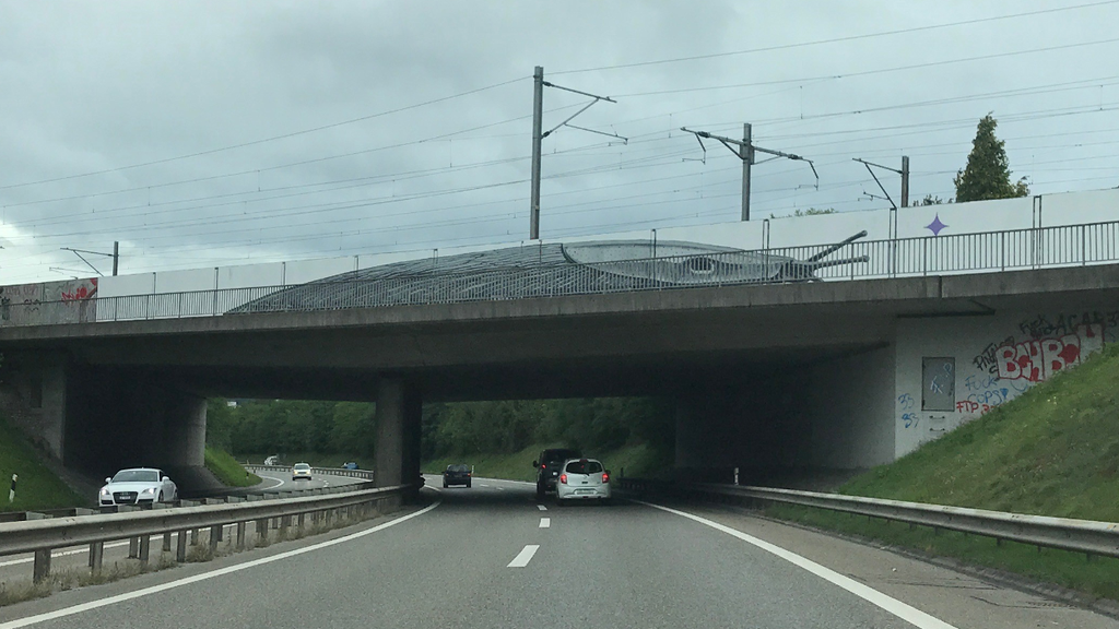 Nacktschnecke über Autobahnzubringer