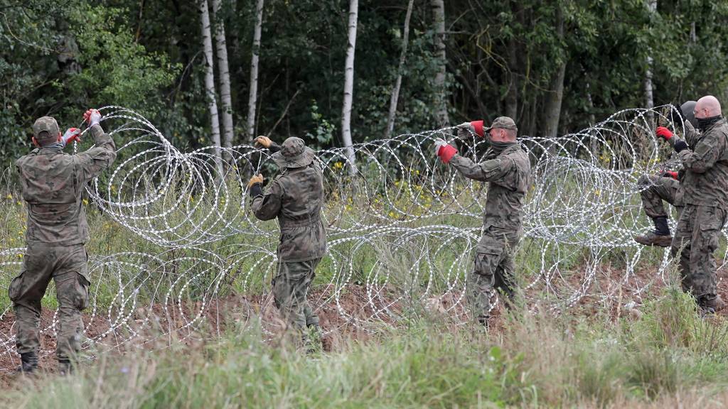 Das polnische Militär baut einen Stacheldraht, um die Grenze zu schützen. 
