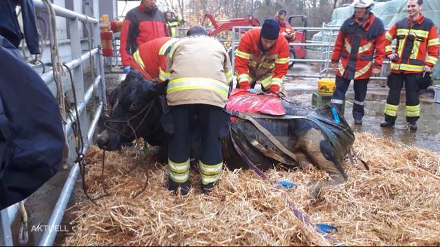 Nach Kuhrettung: Feuerwehr rüstet mit Neuheit auf 