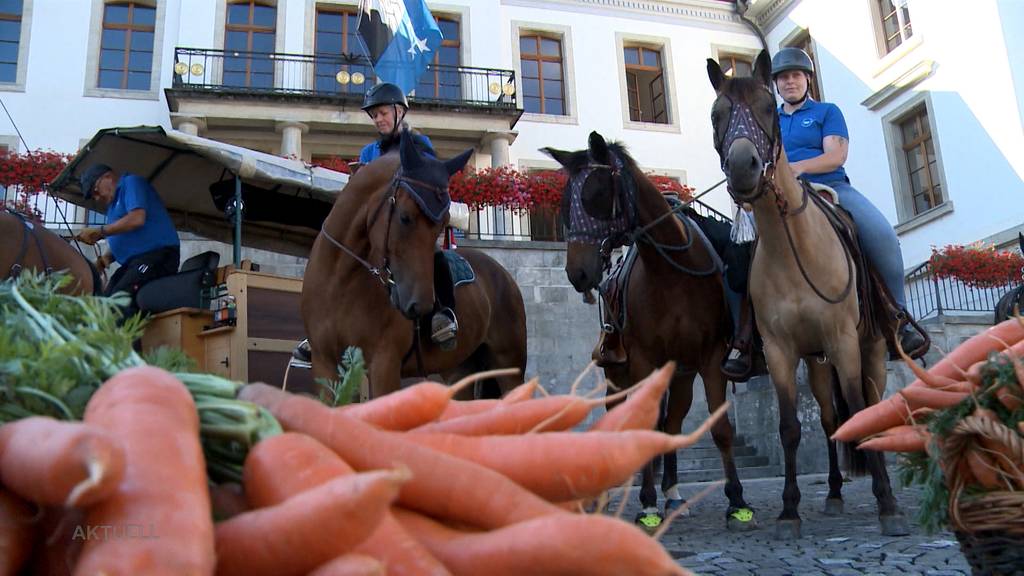Marché-Concours: Die Aargauer Reitertruppe macht sich heute auf den Weg