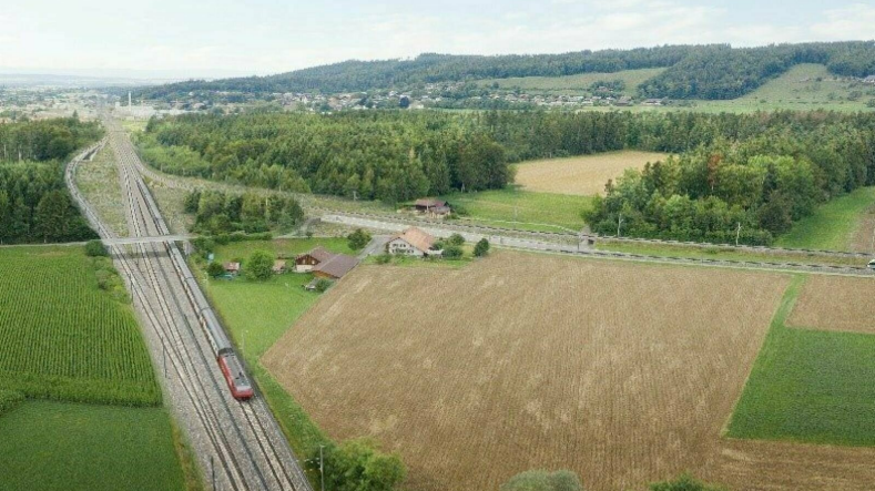 SBB bauen neuen Bahntunnel – und wollen zwei Fussballfelder Wald roden