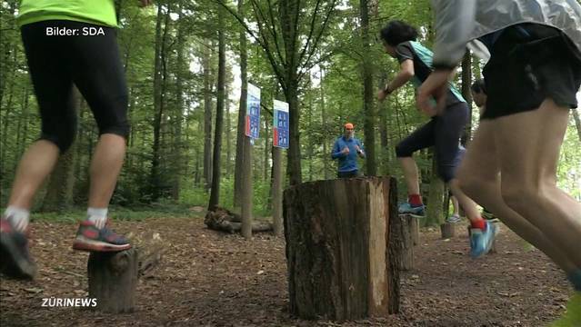Vita Parcours feiert 50. Jubiläum!