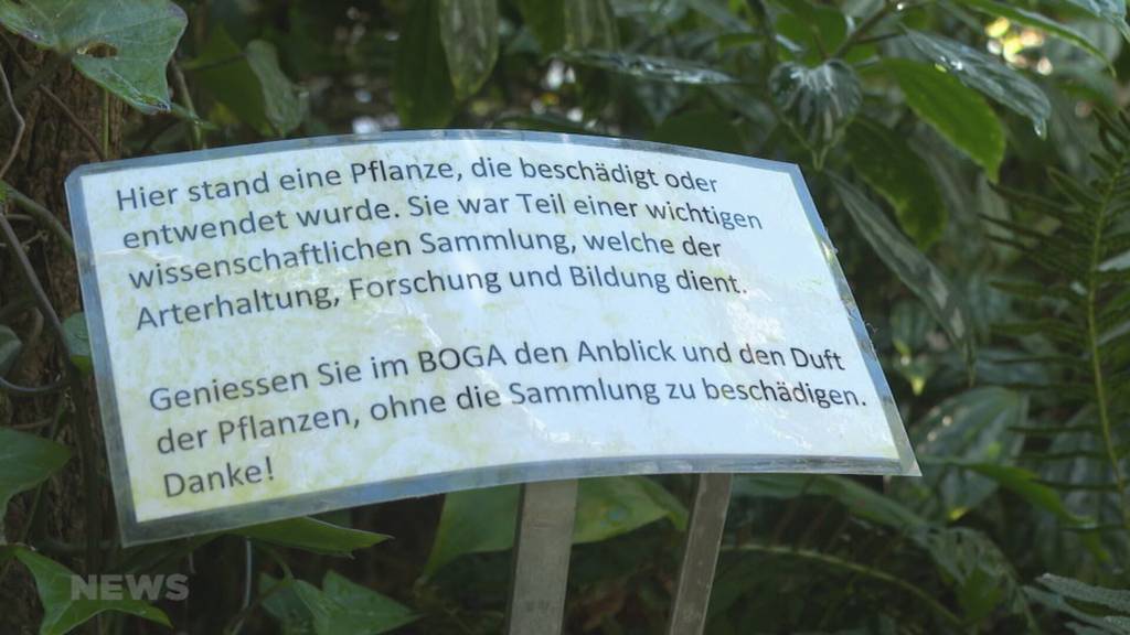 Massnahmen gegen Diebstähle im Botanischen Garten