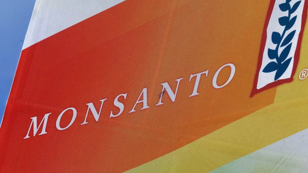 Der Saatgutriese Monsanto schaut sich offenbar weiter nach Partnern um: Nach Syngenta nehmen die Amerikaner nach Insiderinformationen nun den deutschen Bayer-Konzern ins Visier. (Symbolbild)