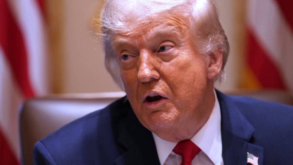Donald Trump, Präsident der USA, spricht während einer Kabinettssitzung im Weißen Haus. Foto: Jacquelyn Martin/AP/dpa