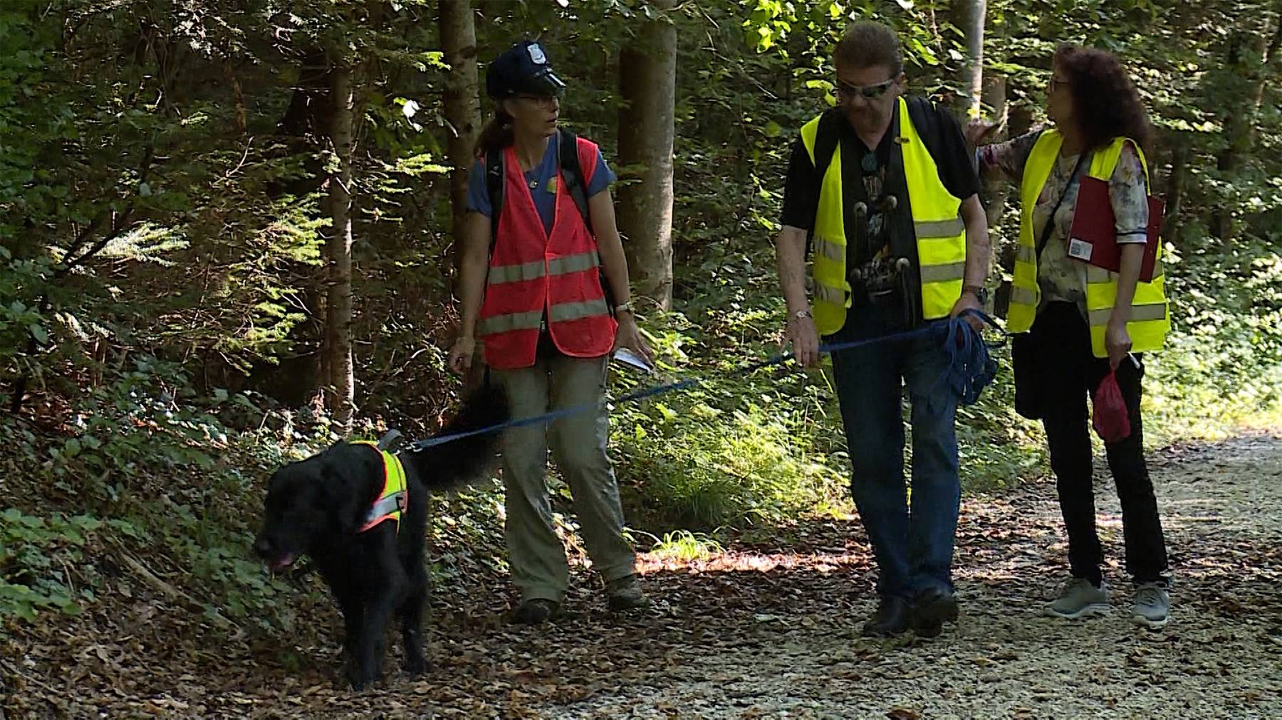 Mit dem Hund auf den Spuren von Sherlock Holmes