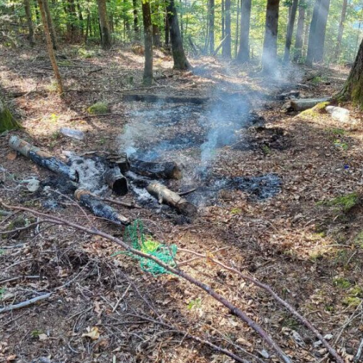 Die Solothurner Feuerwehr kann Waldbrand