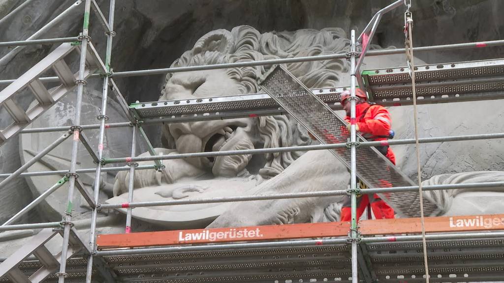 Das Löwendenkmal wird genau untersucht – und dazu eingerüstet