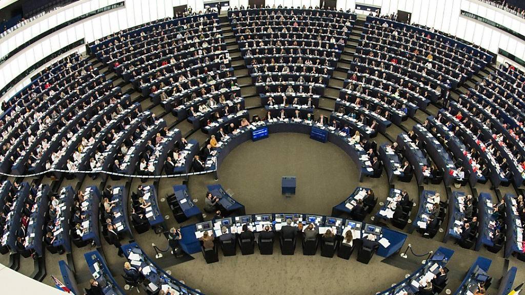 Votum: AfD aus rechter Fraktion im Europaparlament ausgeschlossen