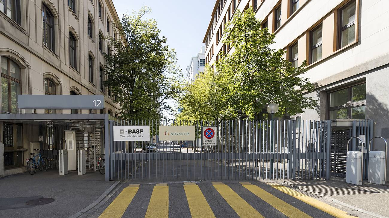 Die BASF als auch die CIBA haben ihren Sitz in Basel