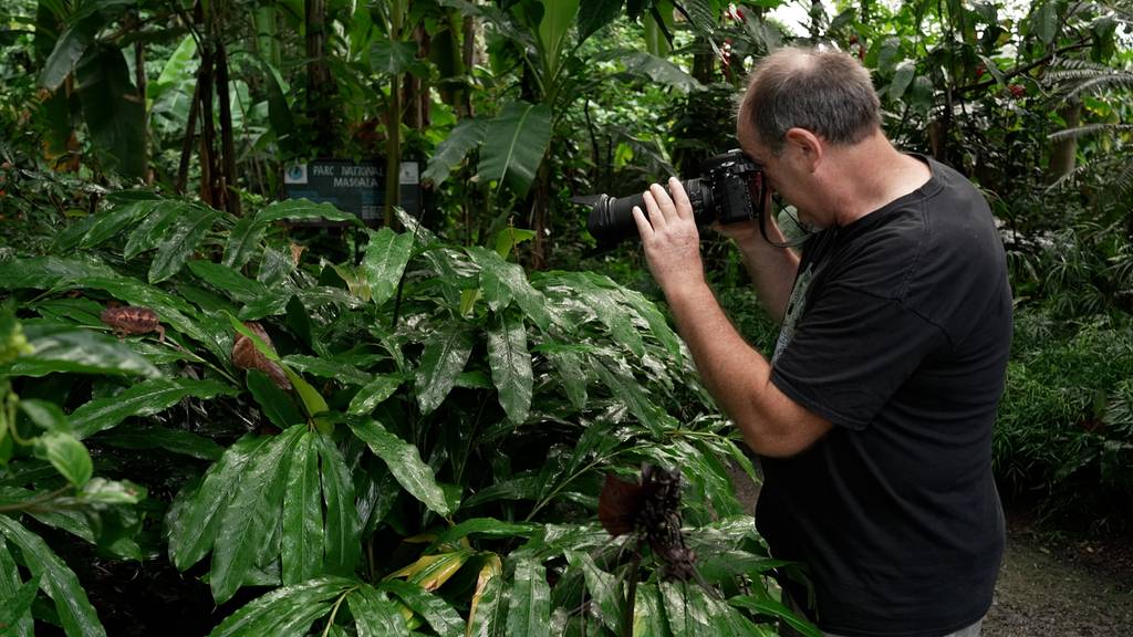 Auf den Spuren des Chamaeleons