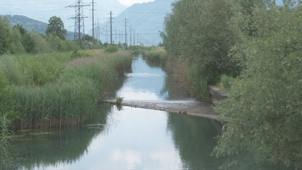 Leere Linth – nur 160 Kilo Fisch wurden aus dem Kanal geholt, so wenig wie noch nie