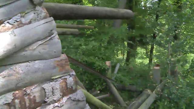 Tierschützer zerschlagen Hochsitze von Jägern