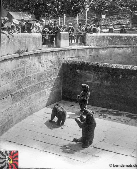 Aufnahme um 1905: Bären ziehen im Bärengraben die Aufmerksamkeit auf sich.