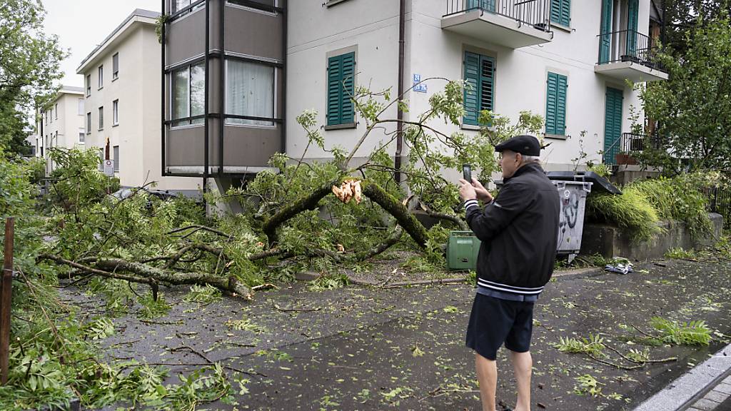 Gewitter der höchsten Gefahrenstufe können Schäden verursachen: Umgestürzte Bäume nach einem Unwetter in Zürich am 13. Juli 2021: (Archivbild)