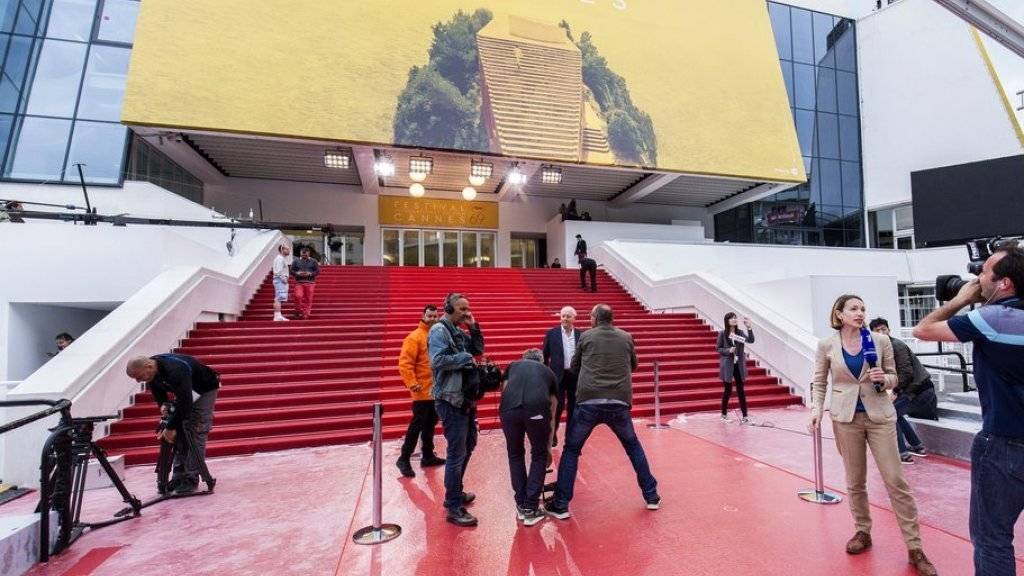 Ruhe vor dem Promi-Ansturm: Heute Abend werden in Cannes die 69. Filmfestspiele eröffnet und Stargäste wie Woody Allen und Kristen Stewart auf dem roten Teppich erwartet.