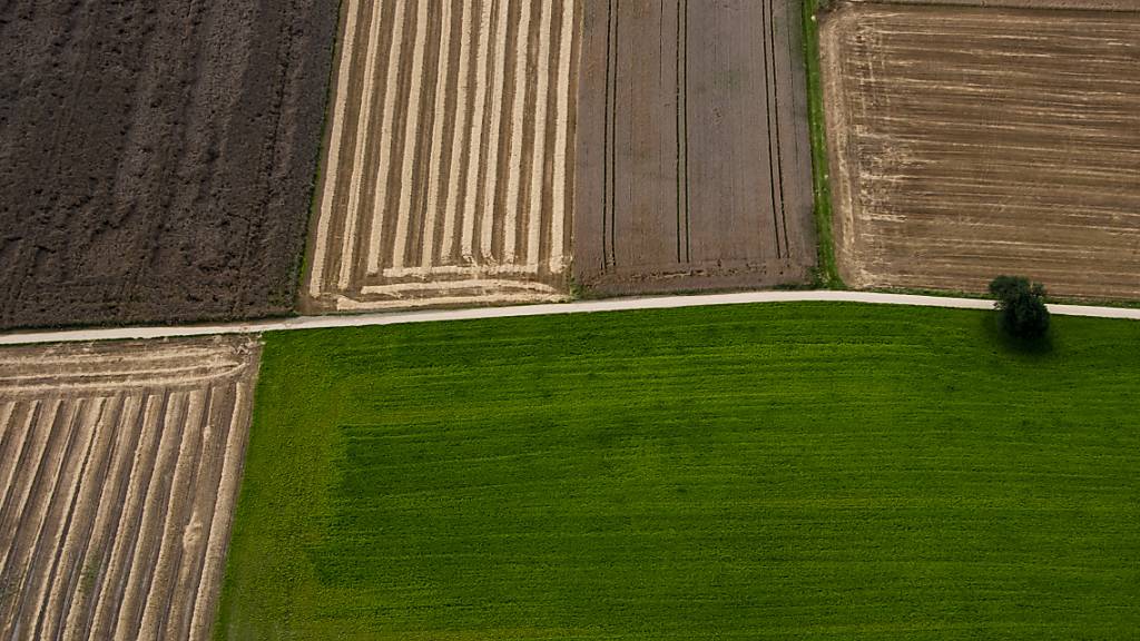 Der Luzerner Regierungsrat möchte den Erwerb von Landwirtschaftsland in Zukunft höher entschädigen. (Symbolbild)