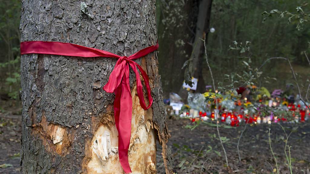 Bei einem Autounfall in norddeutschen Landkreis Cloppenburg sind am Freitagabend sechs Kinder schwer verletzt worden. Eine Mutter starb, als sie mit ihrem Auto in einen Baum fuhr. (Symbolbild)