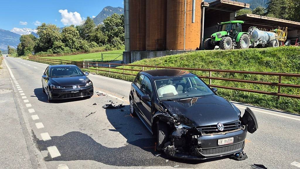 Eine Katze hat am Samstag in Chur einen Unfall mit zwei Verletzten verursacht.