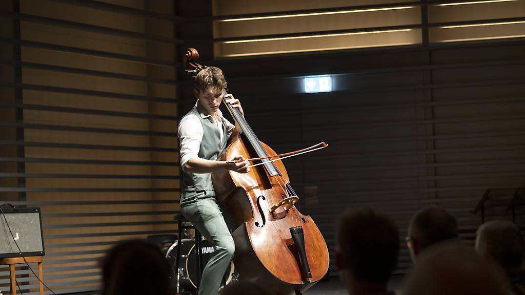 Kanton Luzern erhält neu Gelder für musikalische Begabtenförderung