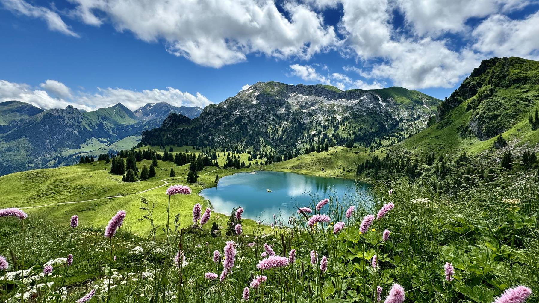 Durch Bergseen lässt es sich wohl etwas schneller schwimmen als durch grosse Seen. Dafür ist das Wasser deutlich kälter, brrrr.