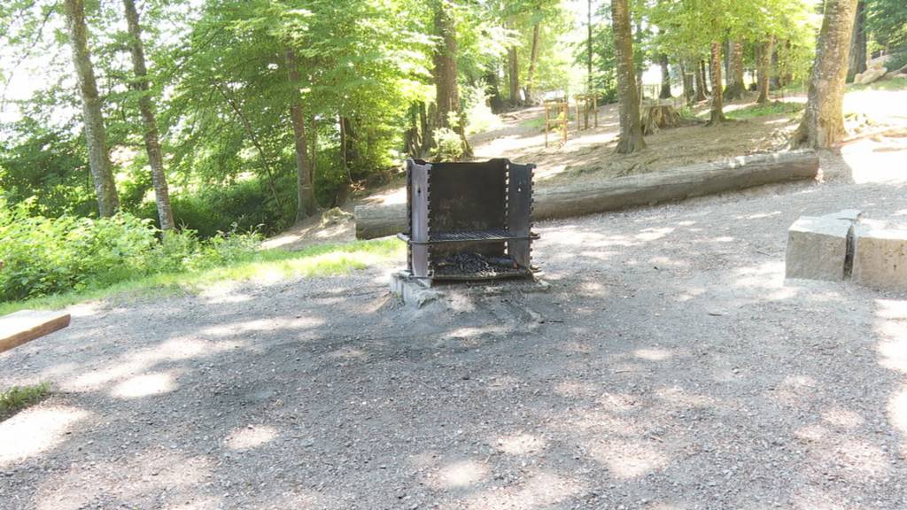 Kanton Luzern verhängt Feuerverbot wegen Hitze