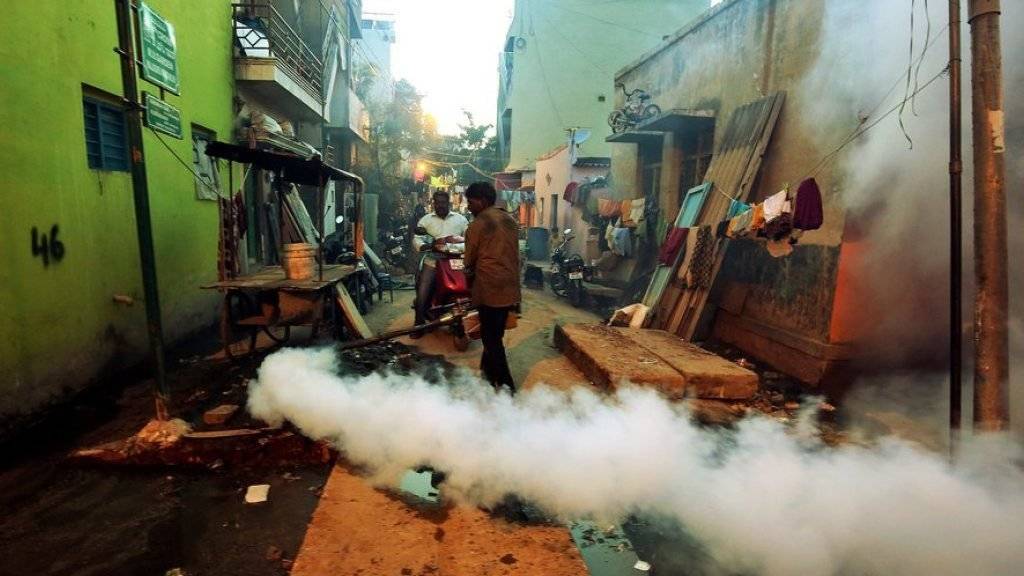 Ausräucherung als Mittel gegen von Malariaerregern infizierte Moskitos im indischen Bangalore