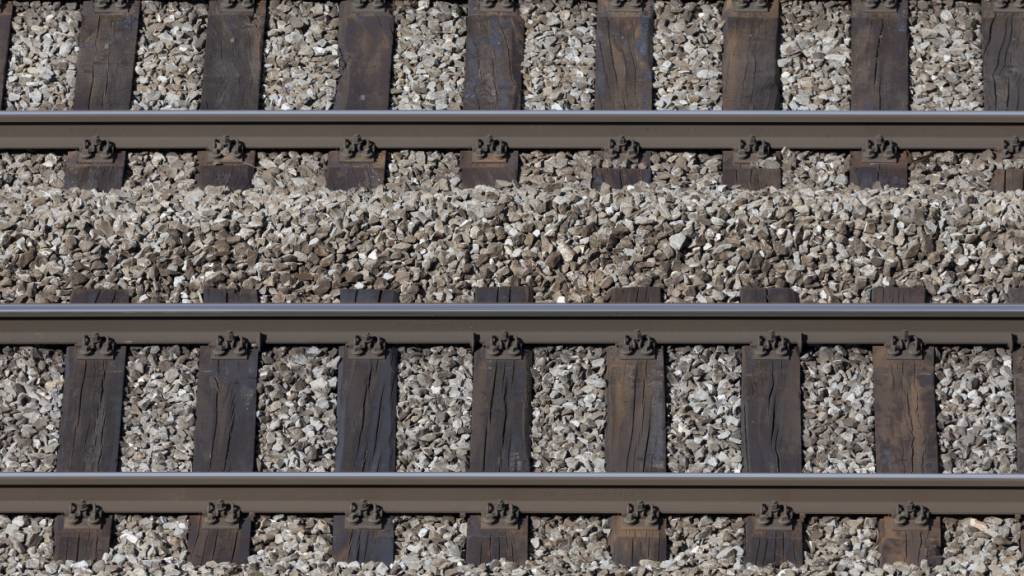 Der Doppelspurausbau bei Opfikon hat bis Anfang Juli Einschränkungen im Bahnverkehr zur Folge. (Symbolbild)