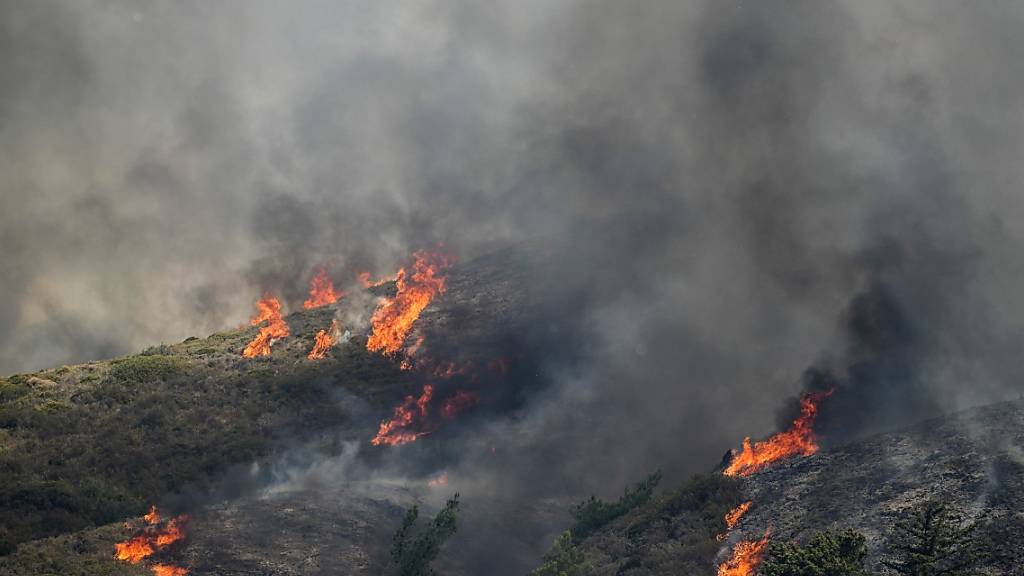 Nahe der Ortschaft Vati im Süden der Insel Rhodos steht ein Wald in Flammen. Starke Winde erschweren den Kampf gegen die Waldbrände auf der griechischen Ferieninsel Rhodos. Foto: Petros Giannakouris/AP/dpa
