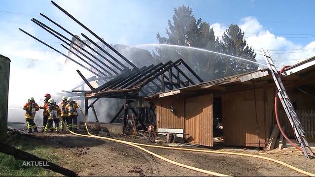 Grossbrand in Zeiningen: Bauernhof brennt lichterloh