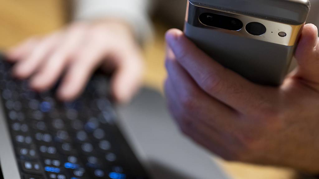 Dem Mann wird vorgeworfen, Ware aus Onlineanzeigen trotz Bezahlung nie zugestellt zu haben. (Symbolbild)