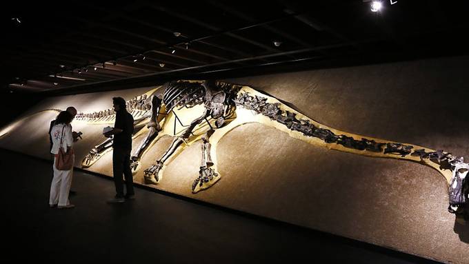 Riesiger Dinosaurierknochen in Frankreich gefunden