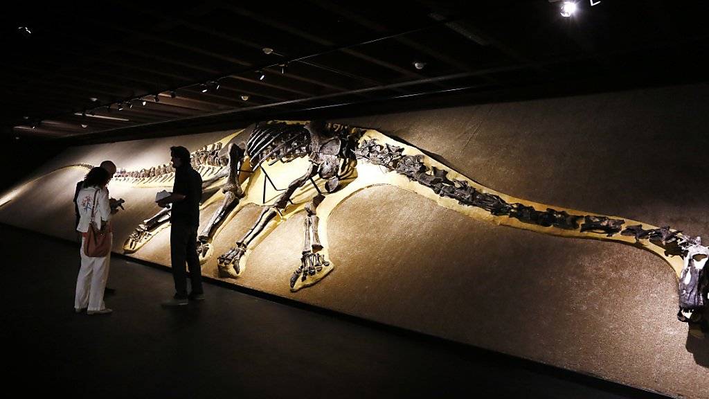 In der Nähe von Bordeaux haben Wissenschaftler einen 140 Millionen Jahre alten Schenkelknochen eines Sauropoden gefunden. (Themenbild eines Sauropoden)
