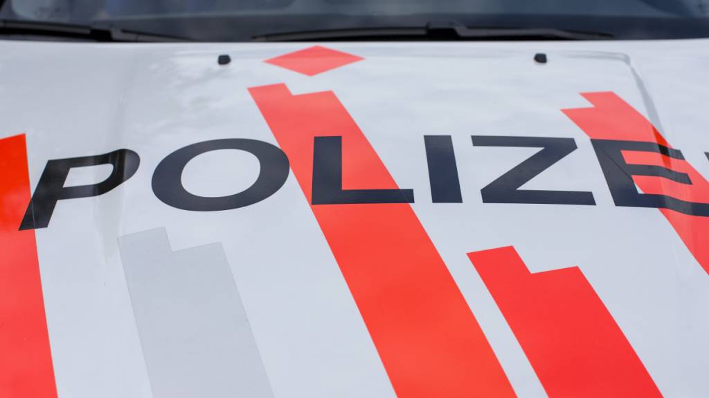 Ein Nachbarschaftsstreit in Balzers führte zu einem mehrstündigen Polizeieinsatz. (Symbolbild)