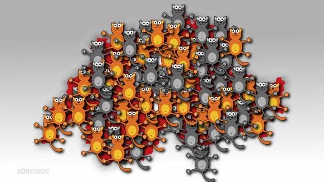 Keiner wagt sich gegen Katzen auszusprechen