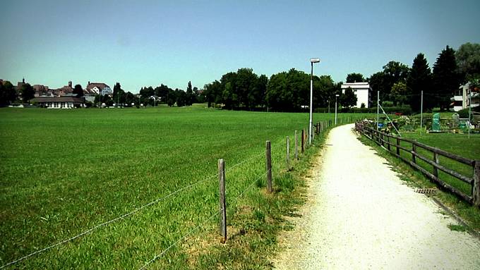 Wil überlastet