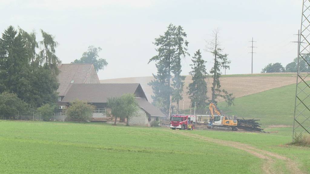 Gärung des Futters führte offenbar zum Brand: Mehrere Tiere sterben im freiburgischen Düdingen
