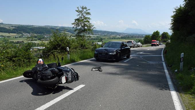 Ausgebüxte Rinder, Unfälle und Raser hielten die Luzerner Polizei auf Trab