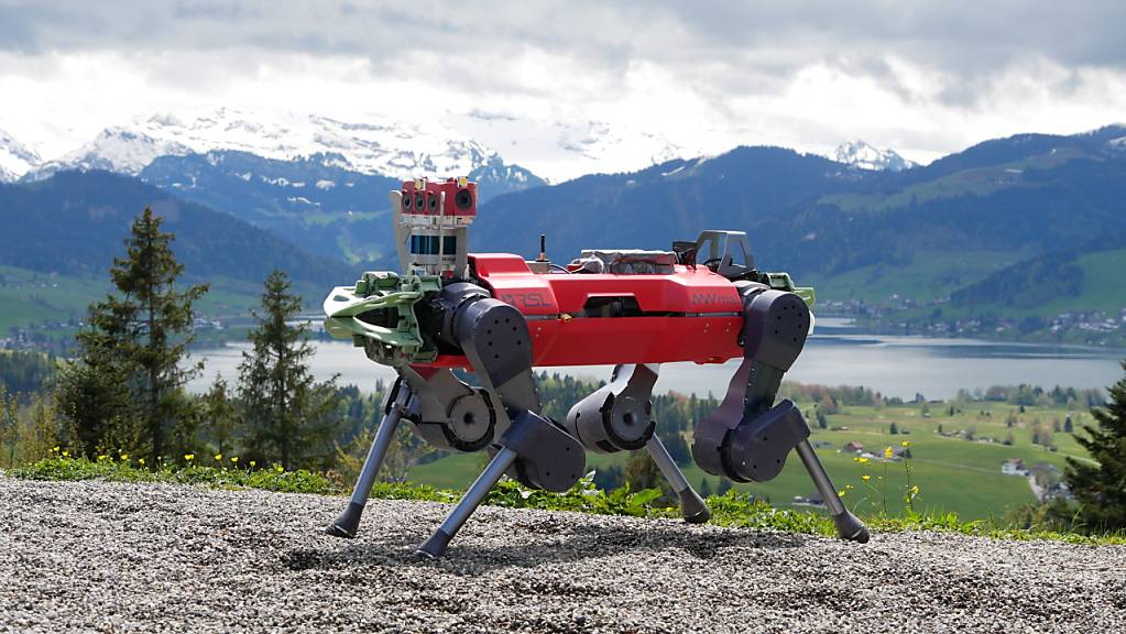 Der Roboter-Hund im Mai 2021 auf Wandertour am Etzel. (zVg)