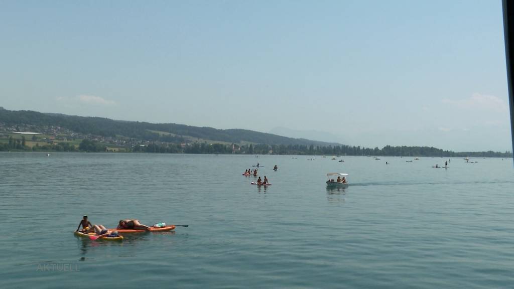 Viele verbringen den heutigen Hitzetag am Hallwilersee