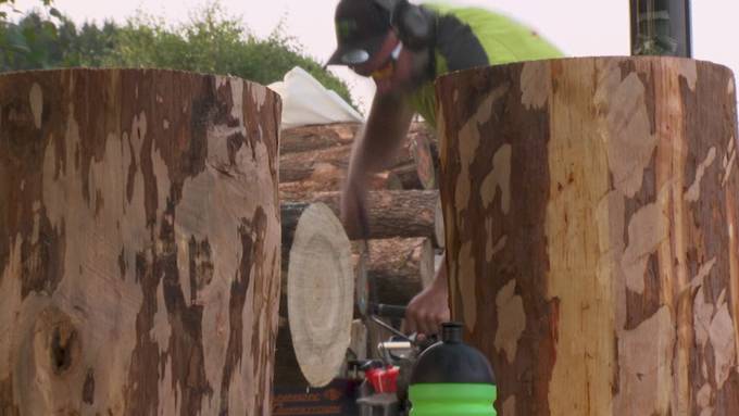 Holzhacken mit Klasse: Toggenburger stehen vor grossem Wettkampf