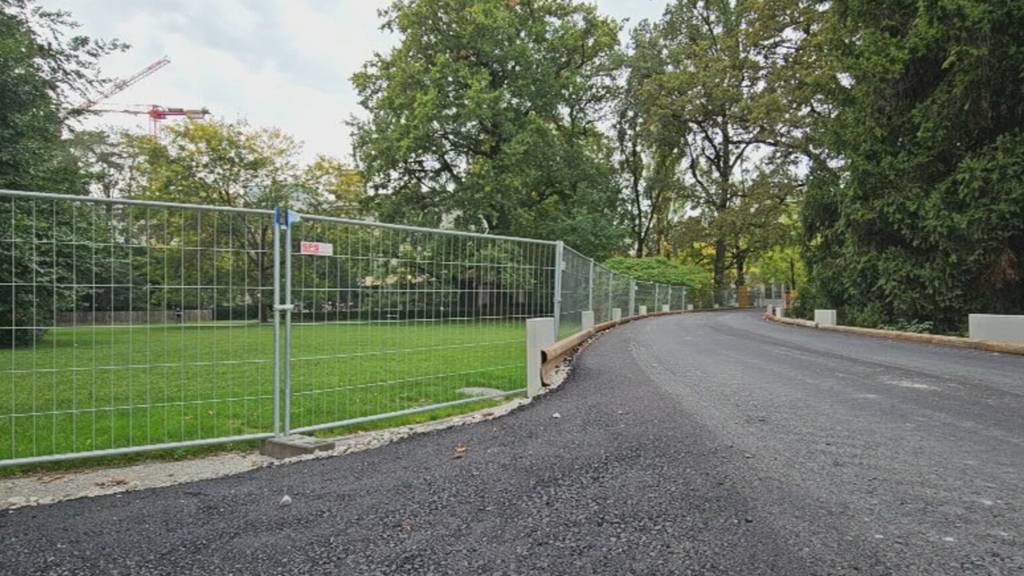 Asphaltstreifen quer durch Rentenwiese sorgt für Aufsehen