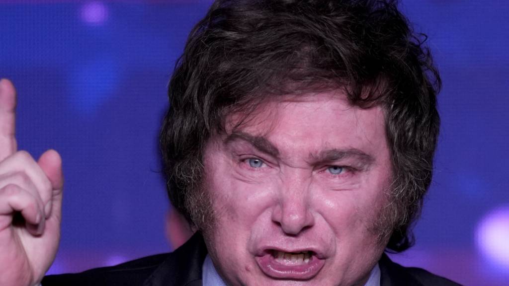 ARCHIV - Javier Milei, Präsidentschaftskandidat der Partei La Libertad Avanza (Die Freiheit schreitet voran), spricht in seiner Wahlkampfzentrale nach Schließung der Wahllokale. Foto: Natacha Pisarenko/AP